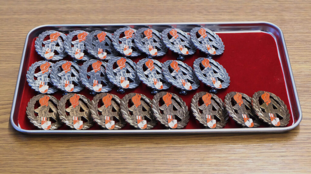 Branddienstleistungsabzeichen 2024